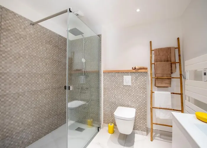 Johan T6 圣马克西姆