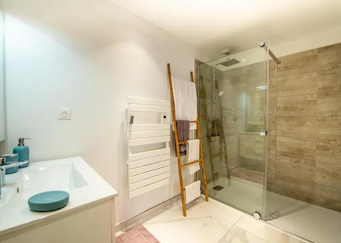 Johan T6 圣马克西姆